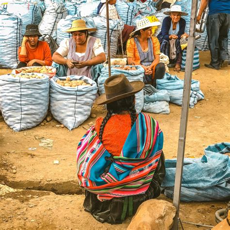 Image result for Suma Programs Project K