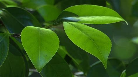 Image result for About Spring