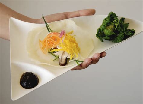 Image result for Beautiful Paper Plates