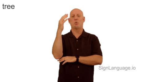 Image result for Tree Sign Language