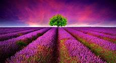 Wallpaper Laptop 3d by Free 3d Wallpaper For Laptop Pixelstalk Net Wallpaper Laptop 3d