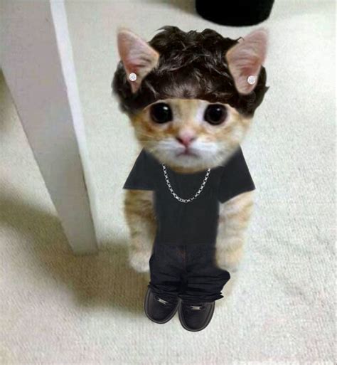 edgar el gato | Dessin animaux mignons, Animaux mignons, Fond d'écran ...