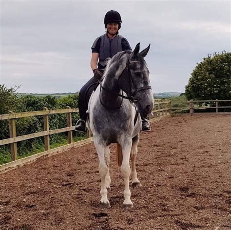 Motivational coaching with Louise BHS Accredited professional senior ...