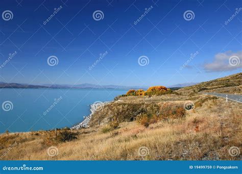 Lake Pukaki, New Zealand stock image. Image of mountain - 19499759