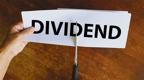 Dividend Stocks: Deepak Spinners, two other stocks to trade ex-dividend ...