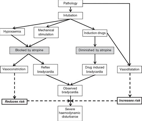 Bradycardia during critical care intubation: mechanisms, significance ...