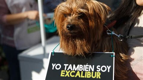 ¿Qué enseñó la crisis del ébola en gestión de emergencias en Twitter?