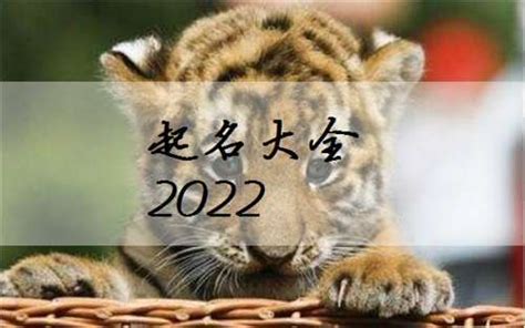 2023年属虎适合结婚的日子 女生本命年结婚好吗属虎的_太岁_若朴堂文化