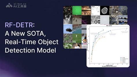 Detection 2021 的图像结果
