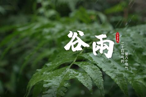 谷雨丨领略南沙暮春的美……_凤凰网视频_凤凰网