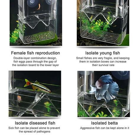 BREEDING BOX ISOLATION BOX - DECAPSULATED BABY BRINE SHRIMP (COMBO)