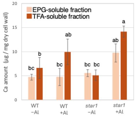 OsXTH19 Overexpression Improves Aluminum Tolerance via Xyloglucan ...