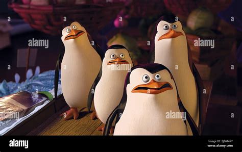 KOWALSKI,SKIPPER,RICO,PRIVATE, PENGUINS OF MADAGASCAR, 2014 Stock Photo ...