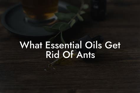 What Essential Oils Get Rid Of Ants