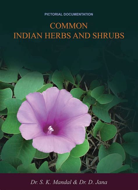 Buy Common Indian Herbs and Shrubs vol 1 Book Online at Low Prices in ...