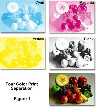 Image result for Color Separation Examples
