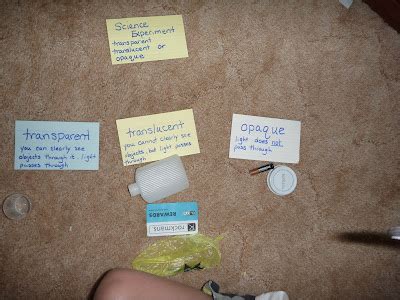 Transparent Science Example 的图像结果