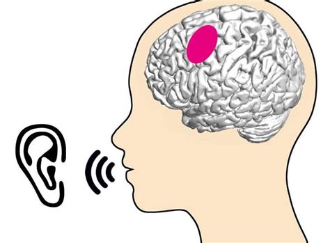 Image result for Stimulus Control Transfer ABA Example