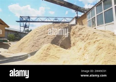 Image result for Timber Manufacturing Process