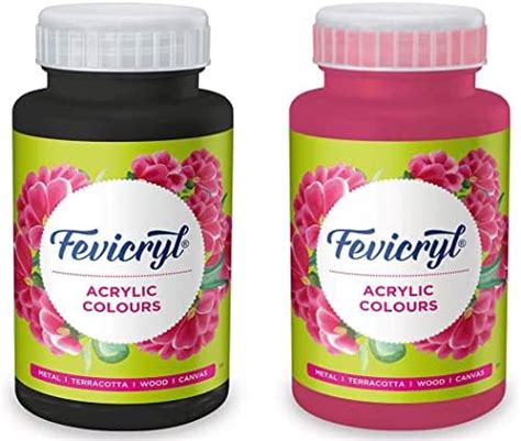 Fevicryl Arylic colors 500ml combo of Black and Neon Pink | Art & Craft ...