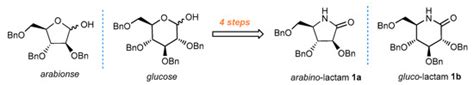 A Convenient Approach towards the Synthesis of ADMDP Type Iminosugars ...