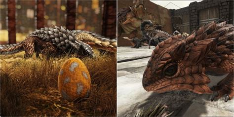 Ark Survival Evolved: Everything You Need To Know About The Thorny Dragon