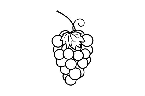 Outline Of Grapes