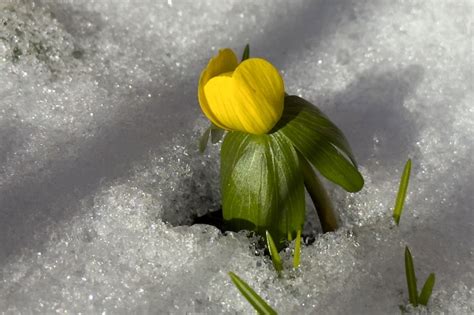 Image result for Spring Weather Meaning