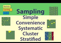 Image result for Sampling and Data Collection