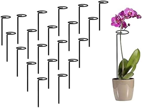 ARTICRAFT 18 inch, Metal Plant Support Stakes with Amaryllis Plant ...