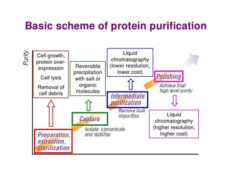 Image result for Basic Principles of Protein Purification