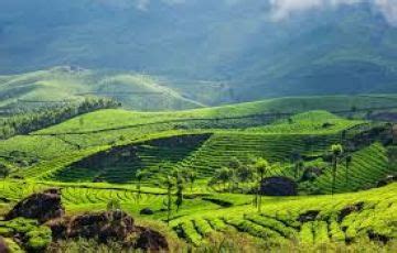 Magical 4 Days Cochin, Munnar and Alleppey Tour Package | cochin ...