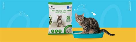 Cat Litter: Best Paper Litter for Cats at Best Prices Online in India ...