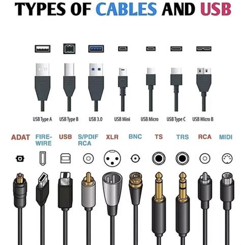 Types of Computer Ports 的图像结果