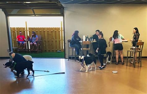 Dog Social Club - Green Dog Barkery