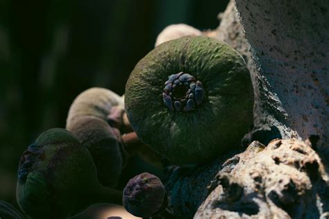 Image result for Gmail Android Background