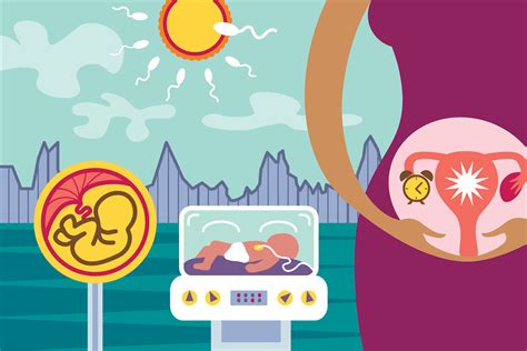 Reproductive Medicine and Anesthesia 的图像结果