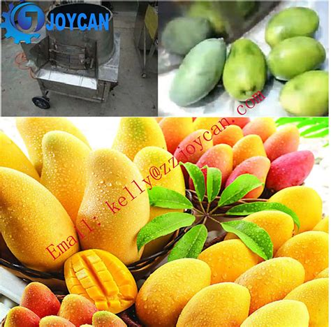 Image result for Mango Pruning Machine and Types