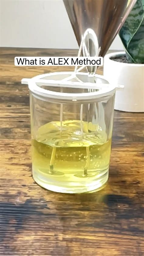 Image result for Alex Tutorial