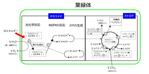Learn OS Module Python From Beginning に対する画像結果