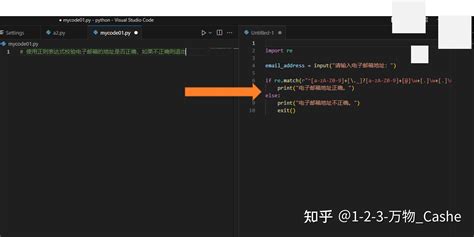 Python Codert 的图像结果