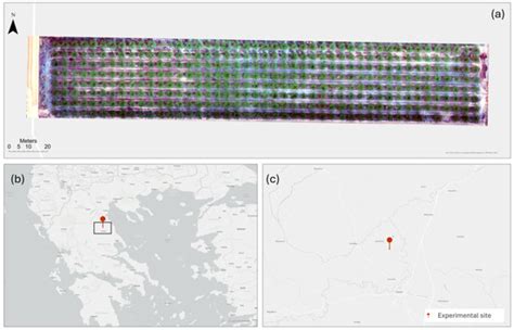 Combining Low-Cost UAV Imagery with Machine Learning Classifiers for ...