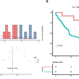 Image result for SpO2 FiO2