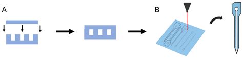 Fabrication Methods and Chronic In Vivo Validation of Mechanically ...