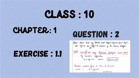 Exercise 1.3 Class 10 Maths 的图像结果