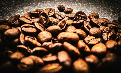 Café Madeira: Fazenda Sá Starts Producing Local Coffee