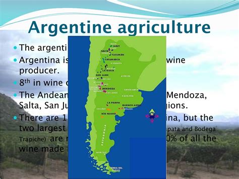 Argentina Agriculture 的图像结果