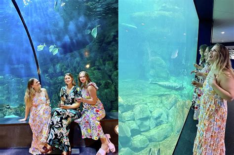 Top Houston chefs, sommeliers travel to Galveston Wine Festival