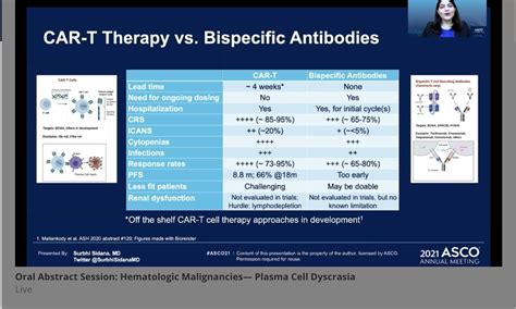 CAR T vs. Bispecific Antibodies: How's a Relapsed/Refractory Myeloma Patient to Choose ...
