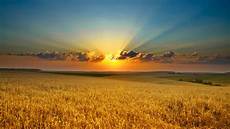 Desktop Images by Nature Backgrounds Wonderful Edition Photo Hq Free Desktop Images